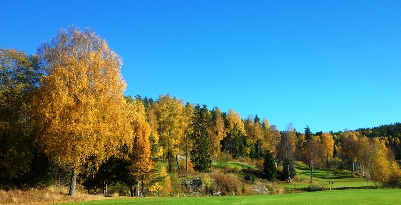 2013-10-12-42