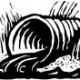 Sewage